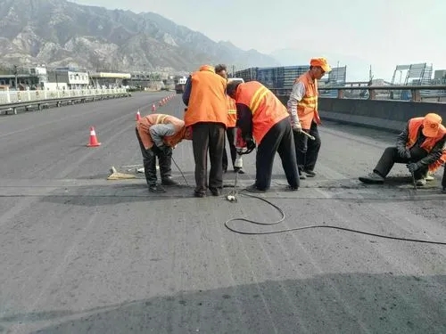 芦溪道路桥梁病害治理